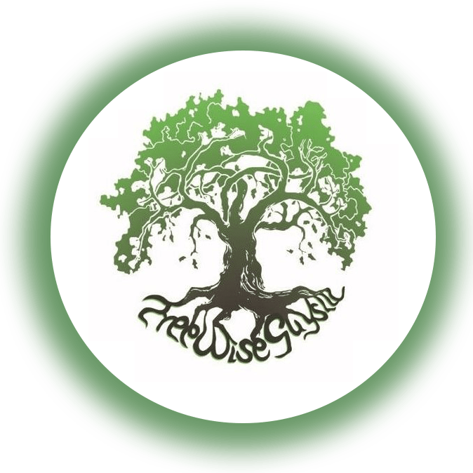 tree-wise-guys-logo-4-compressed