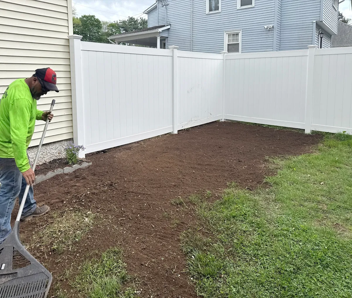 Lawn restoration after tree removal β Tree Wise Guys