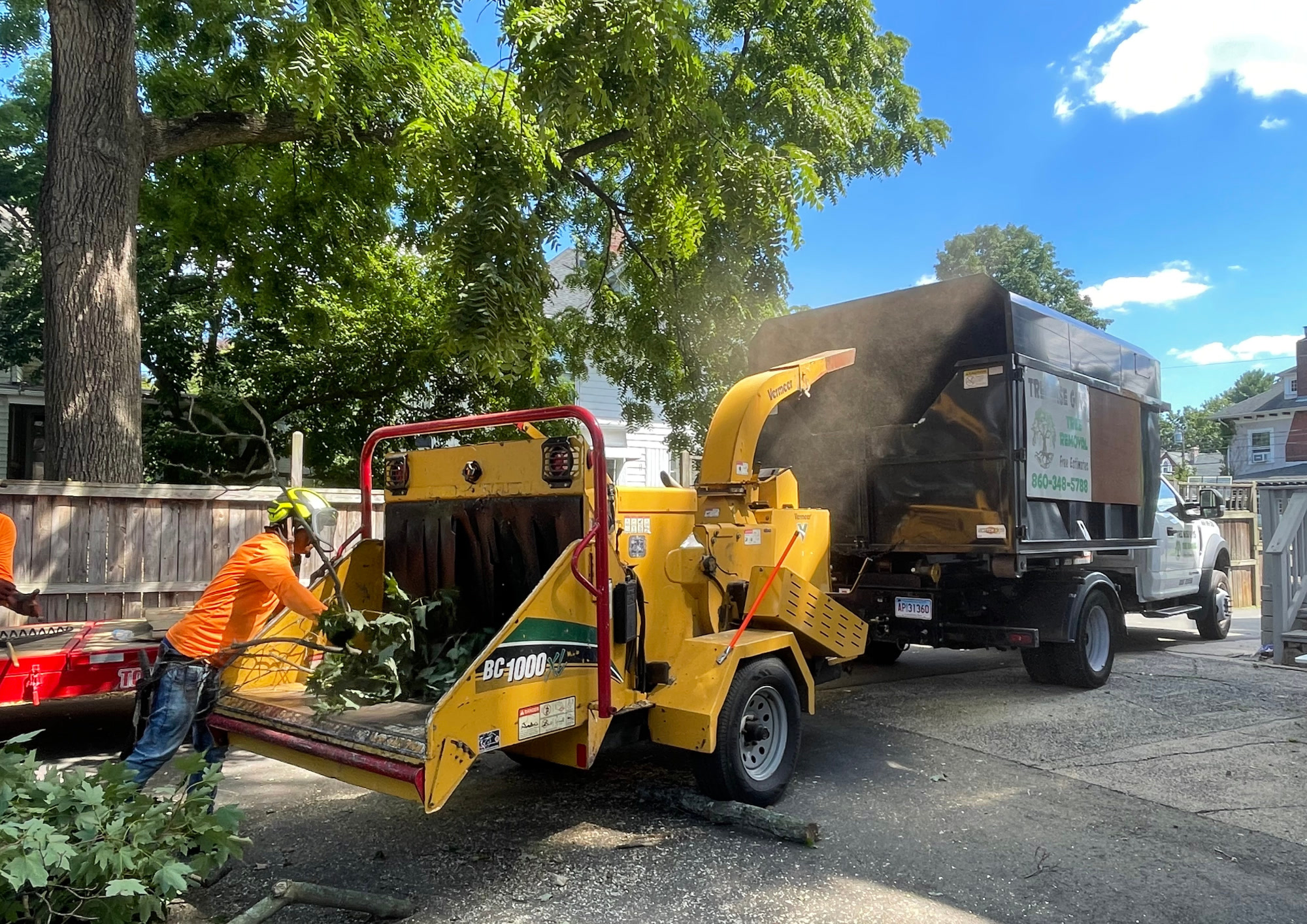 Tree Wise Guys equipment and trucks 3