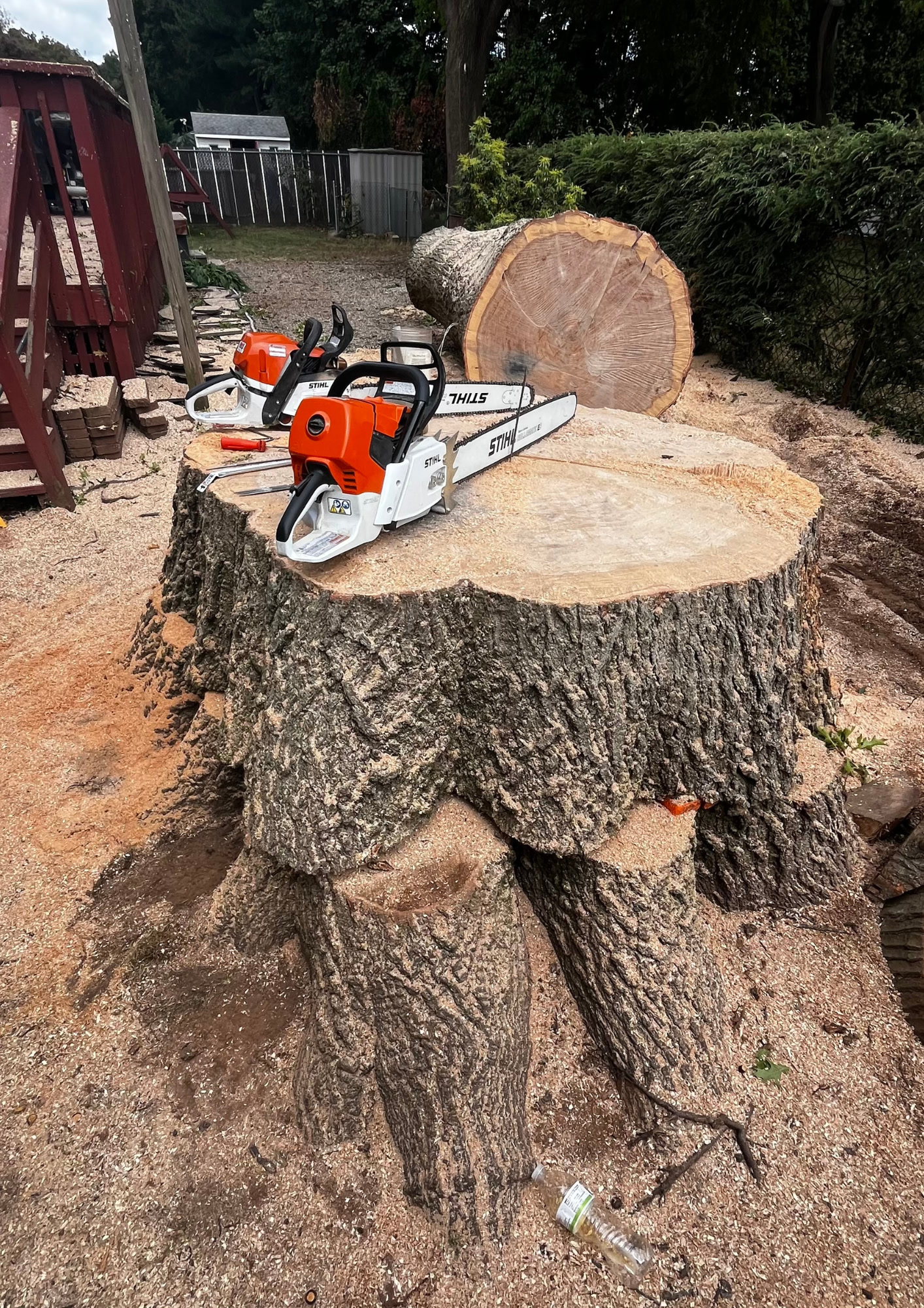 Tree Wise Guys equipment and trucks 6