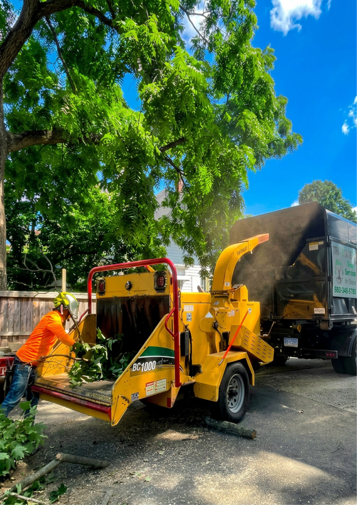 Tree Wise Guys equipment and trucks 8