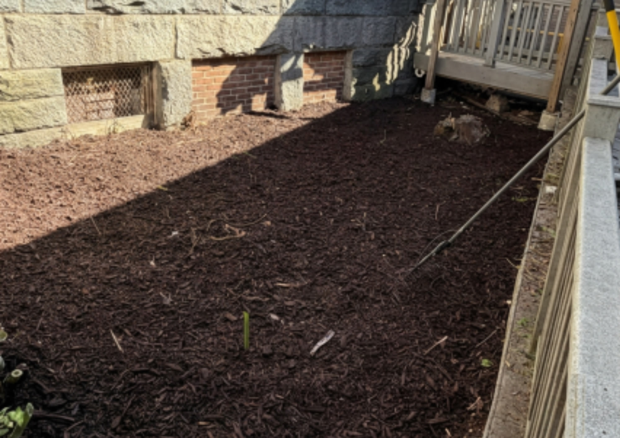 Cleared and mulched section of land after brush removal on a Connecticut property